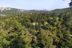 1 Day Parnitha Athens Private Hiking Tour