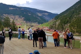 Uzungol Tour: avventura nella natura di un'intera giornata con visita alla fabbrica di tè