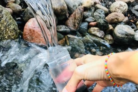 Forestbathing and Natural Spring Water - in Stockholm Nature