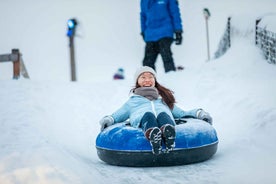 Rovaniemi: Aðgangsmiði að Snjókarlalandinu