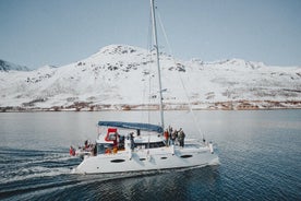 Crociera sul fiordo artico e safari a Tromso con catamarano di lusso