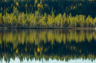 photo of endless landscape in finish Lapland Kolari close to the ski resort of Ylläs during dusk in Finland.