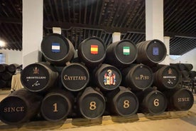 Jerez de la Frontera: Ferð um Sherry-víngerð með Smökkun