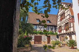 Colmar: Unusual Walking Tour with a local guide