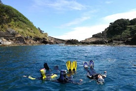 Vila Franca do Campo: Snorkeling Tour