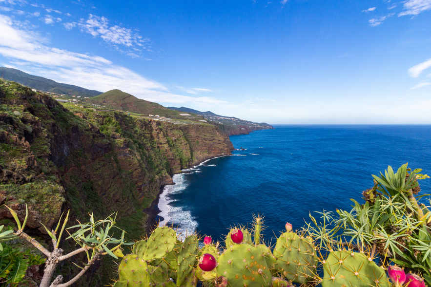 Winter in Madeira.png