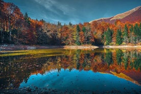 Parcs nationaux : Biogradska Gora et le lac de Skadar Excursion d'une journée