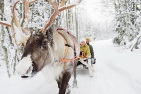 Lapland Rendier Safari van Saariselkä