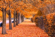 London in October: A Guide to Autumn in the Capital City