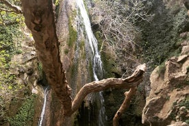 Cascada de Richtis, historia minoica, árbol más antiguo, costa norte (aventura de lujo)