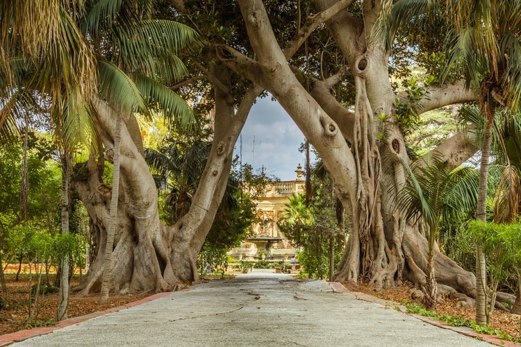 malta-in-april-5.jpg