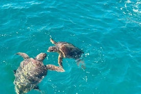 Zakynthos: Turtle Spotting Cruise on a Glass-Bottom Boat