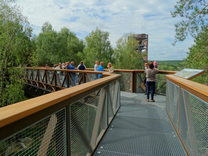 Photo of Anykščiai canopy walkway.