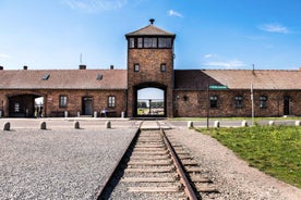 Kraká: Auschwitz-Birkenau & Wieliczka Salt Mines dagsferð