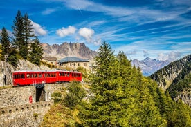 Excursion privée d'une journée à Chamonix et au Mont Blanc au départ de Genève