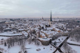 Tallinn Vetrar Hjólaferð með Kaffistopp