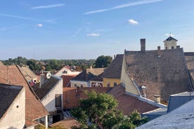 Szentendre: Arts and Cafés Tour (Half-Day Private Tour)