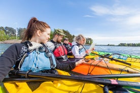 Excursión en kayak de 3 horas a la ciudad de Helsinki