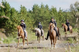 Reykjavik: Small-Group Horse Volcano Riding Tour with Pickup