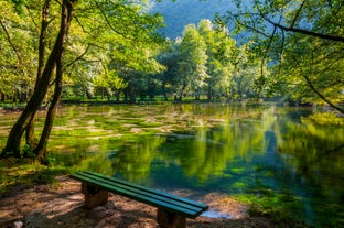 Vrelo Bosne