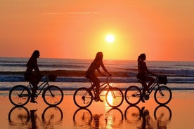 Visite guidée en vélo électrique au coucher du soleil ou le matin : Maspalomas et Meloneras