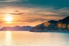  Private Cinque Terre Boat Tour 