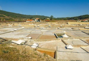 Salinas de Rio Maior