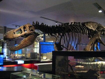 Photo of the Great North Museum: Hancock is a museum of natural history in Newcastle upon Tyne, England.