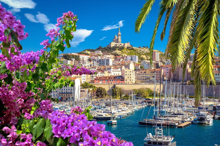 Photo of City of Marseille harbor and Notre Dame de la Garde church on the hill flower and palm view, southern France.