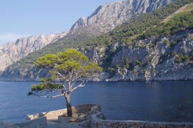 Mesmerizing Hvar speed boat tour with optional wine tasting