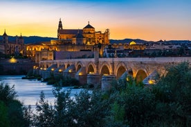 Excursão privada à Mesquita-Catedral de Córdoba e cidade