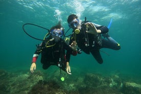 Descubra Mergulho Batismo de Mar em Meio Dia