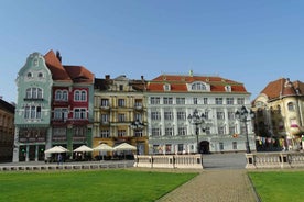 From Timisoara: Danube Gorge Day Trip with Transfer