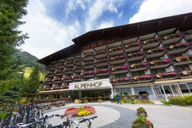 Hotel Alpenhof