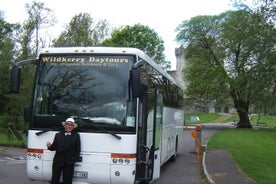 Ring of Kerry, tour di un giorno intero da Killarney