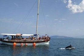 Preveza: Dolphin Watching Cruise with Lunch and Drinks