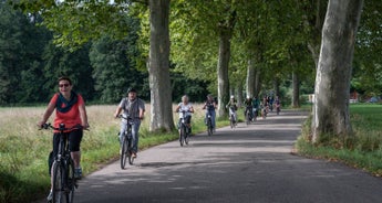 Alsace on E-bikes guided cycling tour