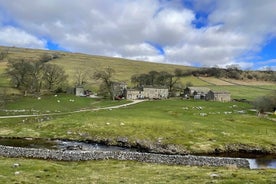 Herriot og Yorkshire Dales dagsferð frá York