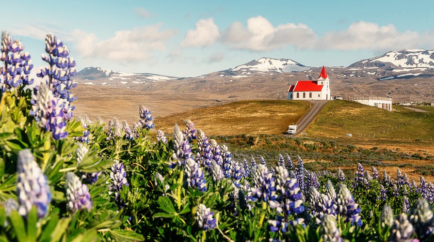 shutterstock_1646559511.jpg