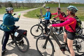 Recorrido en bicicleta eléctrica con parada en la bodega en el área de Bardolino