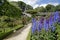 Photo of the Alnwick Garden that is one of the world’s most extraordinary contemporary gardens. From poisonous plants and treetop walkways to glorious roses and towering delphiniums, UK.