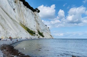 Møns klint et la tour de la forêt - Une excursion d'une journée au départ de Copenhague