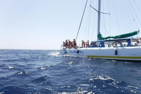 Crucero en catamarán por Gran Canaria desde Puerto Rico