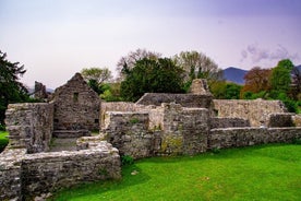 Visitez l'île d'Innisfallen