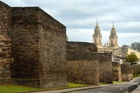 LUGO: GUIDED VISIT TO LUGO, INCLUDING ENTRANCE FEES TO THE CATHEDRAL AND DOMUS