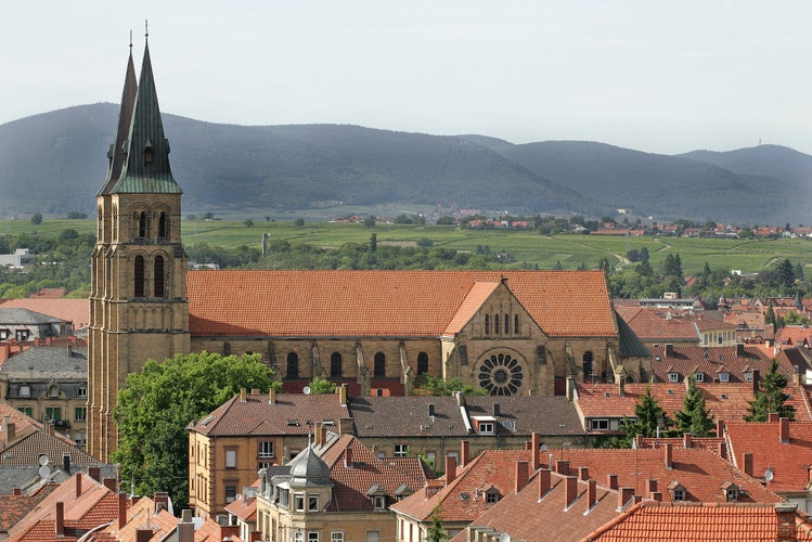 Photo of view over landau in the palatinate .