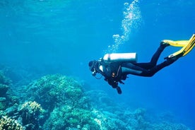 Alanya Scuba Diving With Lunch and Transfer 