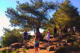 Tour Privado a las Islas de los Príncipes