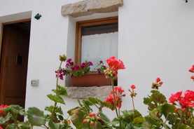 Domus Olbia Inn