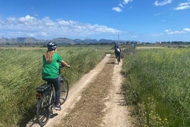 Mallorca Bike Tour Secret Paths with a Local